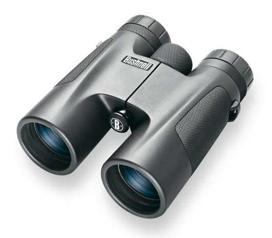 Bushnell PowerView 10x 42