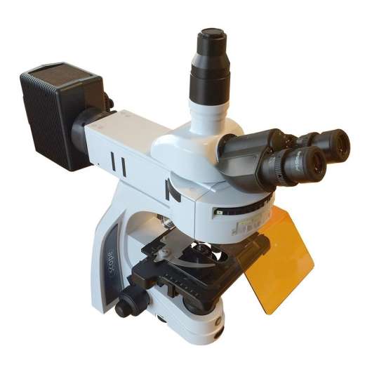 Fluorescensmikroskop iScope 40, 100, 400 och 1000x