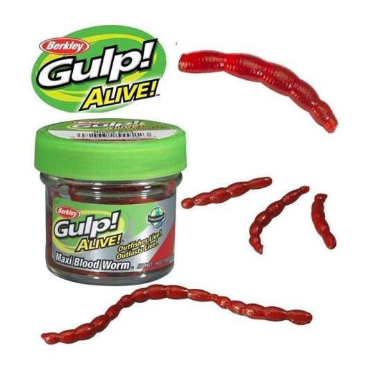 Gulp Alive Maxi Bloodworm